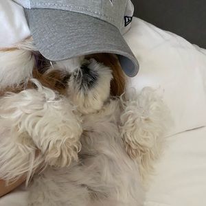 Meet your Posher, Eva